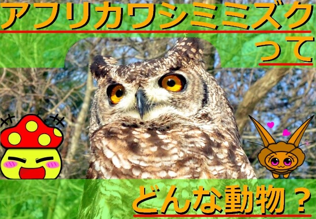 Thumbnail of post image 184